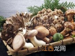 新鲜蘑菇怎么保存？鲜蘑菇的保存方法