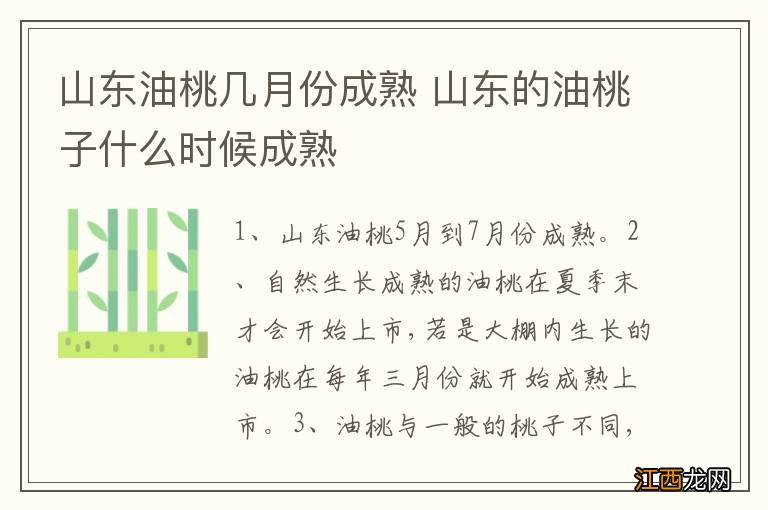 山东油桃几月份成熟 山东的油桃子什么时候成熟