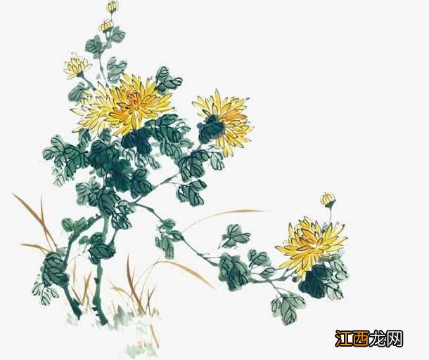 杨贵妃等四大美人绝艳无双 杨贵妃真实画像复原图长得像谁