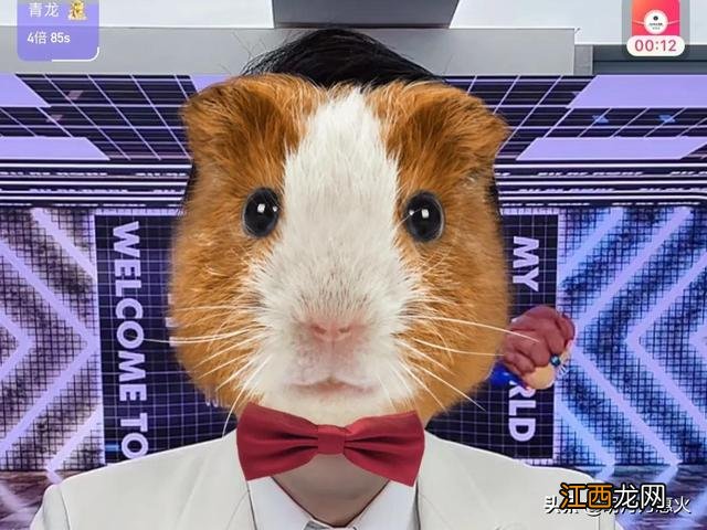 盘点被产品打败 十位曾经火遍全网的网红