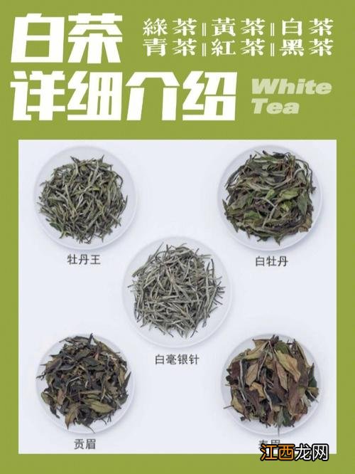 白茶是属于什么茶类 白茶属于什么茶系列