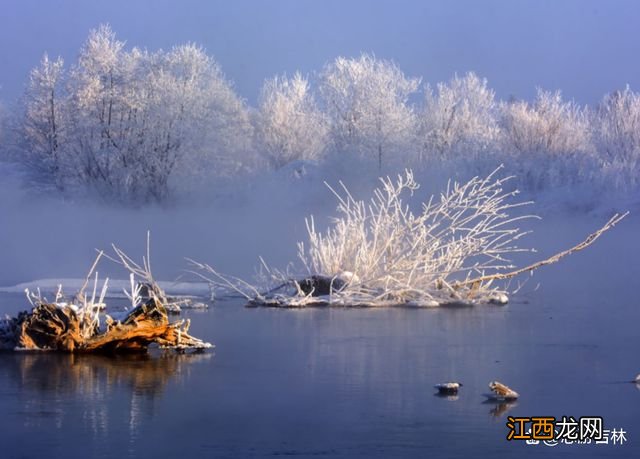 长白天下雪：冬天，应该带孩子来一次有雪的旅行！