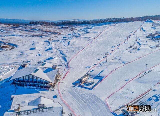 长白天下雪：冬天，应该带孩子来一次有雪的旅行！