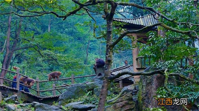 峨眉山曾发生过“悲剧”，至今还无人能解释，究竟发生了什么？