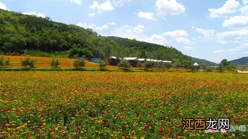 合水县花溪谷生态旅游景区全面升级 水湄花谷景区简介