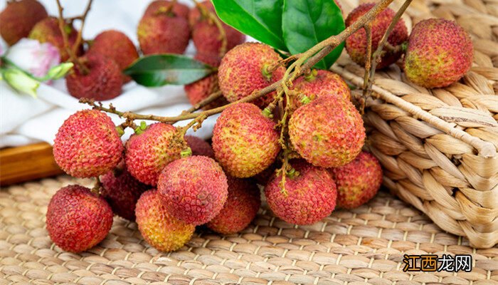 荔枝树能活一千年吗 荔枝树能活多少年