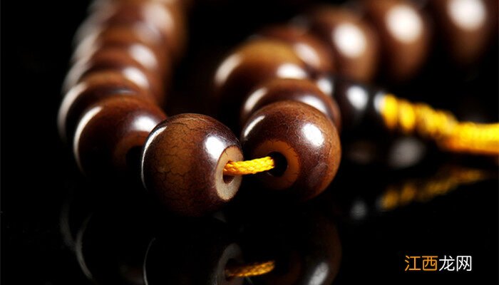 金丝楠木树苗适合哪些地方种植