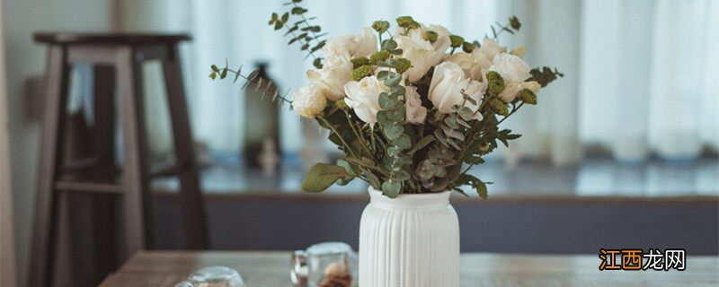 香槟玫瑰加桔梗的寓意友谊 香槟玫瑰加桔梗的寓意