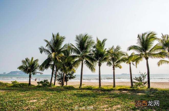 海南三亚，中国首席避寒城市，一到冬天就成为东北人的第二故乡