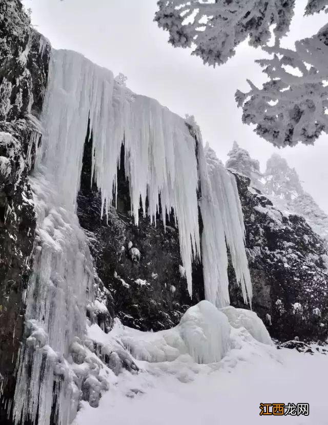 春节假期云南普遍降温，云南昆明轿子雪山降大雪：现场美若仙境