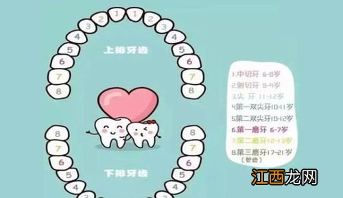 儿童换牙时间和顺序