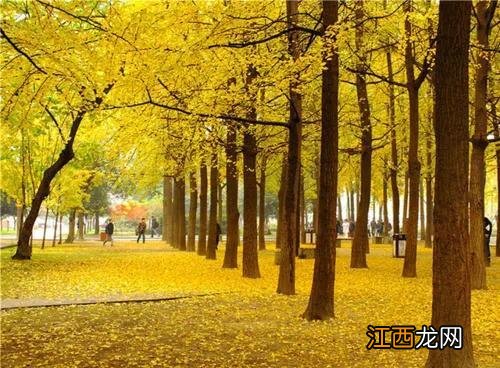 河北有什么好的专科学校 河北省较好的专科学校有哪些