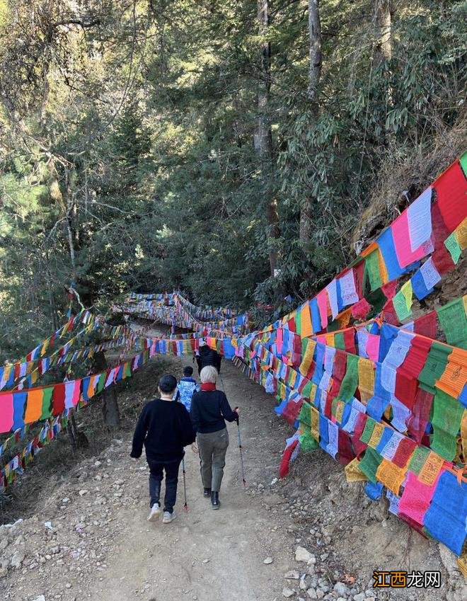 47岁保剑锋为54岁老婆庆生,何珈好满头金发好酷,7岁儿子像爸爸