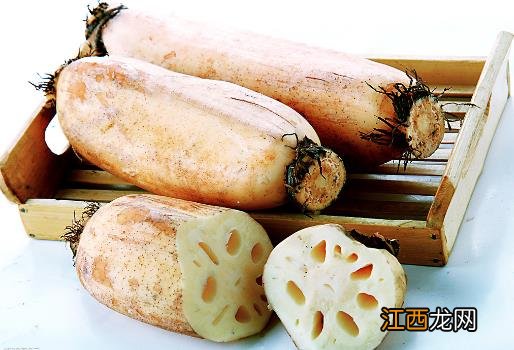 如何挑选新鲜莲藕?选购莲藕的注意事项