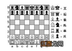 国际象棋规则是什么