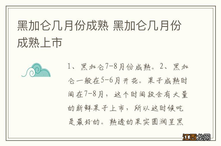 黑加仑几月份成熟 黑加仑几月份成熟上市