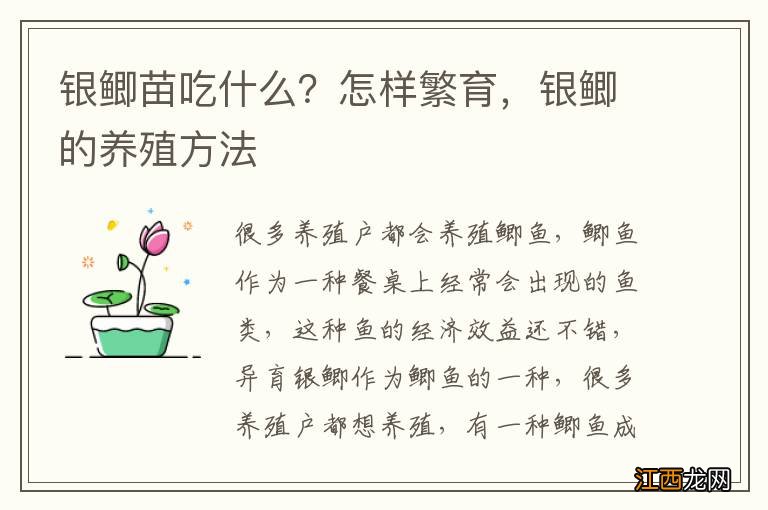 银鲫苗吃什么？怎样繁育，银鲫的养殖方法