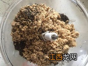 芝麻磨成粉用什么工具