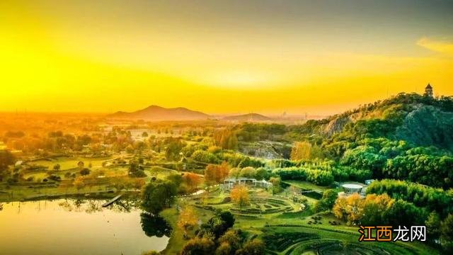 辰山冬日的色彩，只一眼便爱上！