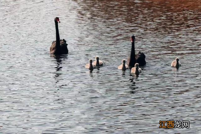 辰山冬日的色彩，只一眼便爱上！