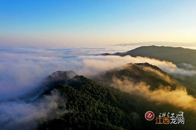 罗平之冬：旖旎云雾仙境美