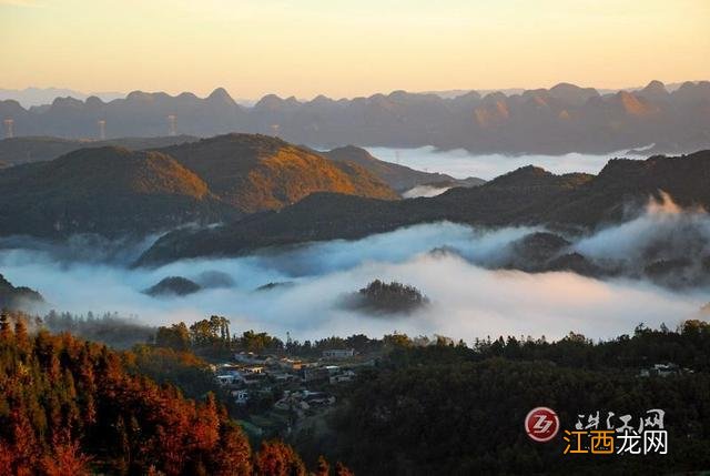 罗平之冬：旖旎云雾仙境美