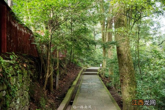 徒步游览四川峨眉山，这些风景好迷人，真是不虚此行