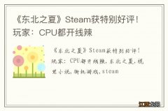 《东北之夏》Steam获特别好评！玩家：CPU都开线辣