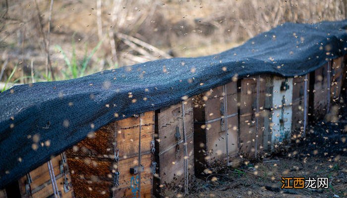 花箱内衬用土工布还是无纺布 防腐木花箱直接放土可以吗