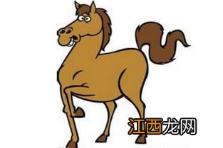 属猪和属马的相配吗