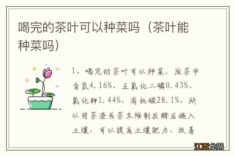 茶叶能种菜吗 喝完的茶叶可以种菜吗