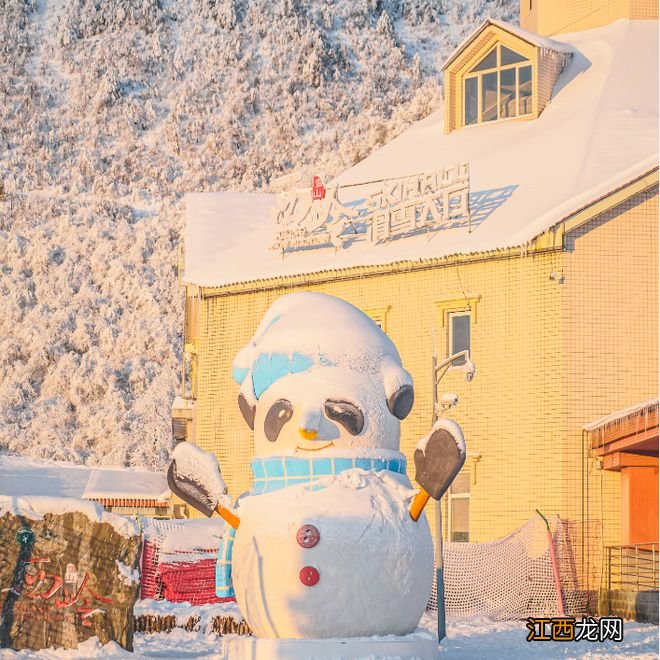 跨年的成都人：到千秋西岭赴一场冰雪之约