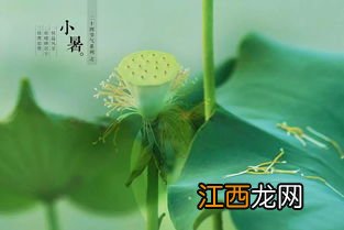 小暑节气到了下雨好不好 大暑节气下雨怎么回事