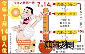 三伏天是几月几号