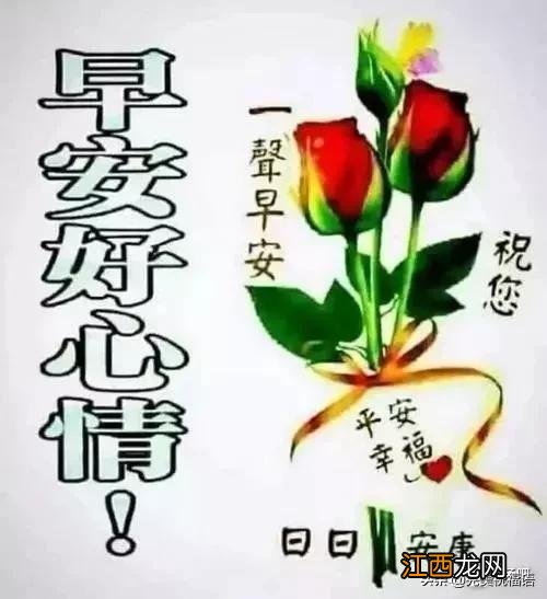 早安新的一天新的开始 早安新的一天也要元气满满