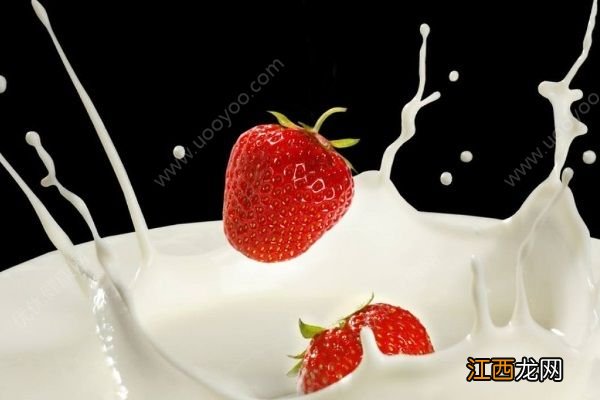 草莓和牛奶一起吃有哪些好处？草莓牛奶搭配营养好！