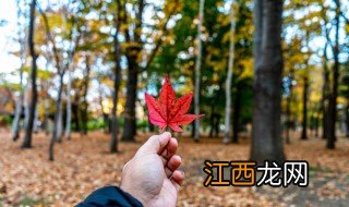 关于秋天成熟的好句 关于秋天成熟的好句精选