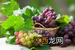 女性哪些情况不能喝豆浆？营养豆浆的制作方法有哪些？