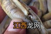 怀孕可以吃空心菜吗 吃空心菜要注意什么