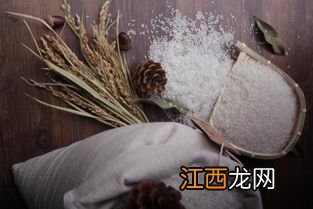 鸽子为什么不能喂大米