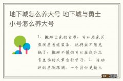 地下城怎么养大号 地下城与勇士小号怎么养大号