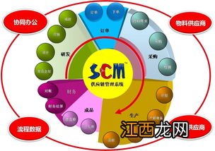 从场景化男性内裤切入 基于spa模式的服装供应链
