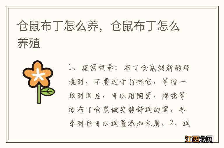 仓鼠布丁怎么养,仓鼠布丁怎么养殖