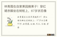 林青霞在自家果园摘果子！穿红裙赤脚坐在树桩上，67岁状态像40岁