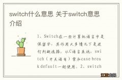 switch什么意思 关于switch意思介绍