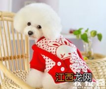 狗狗穿衣服好吗