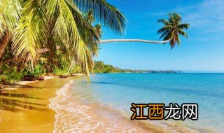 冬季海南旅游需要准备什么 冬季海南旅游需要准备什么物品