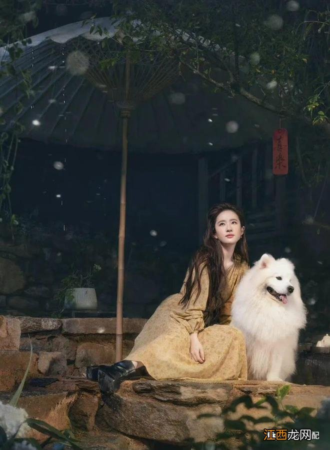 别看刘亦菲的发型也会踩雷，但多数的发型都很实用，普通人可照搬