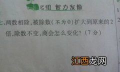 在商不变的规律中为什么要零除外