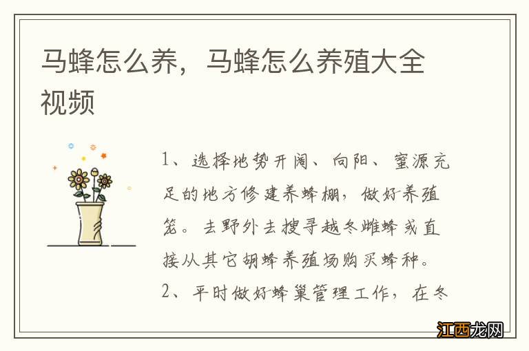 马蜂怎么养，马蜂怎么养殖大全视频